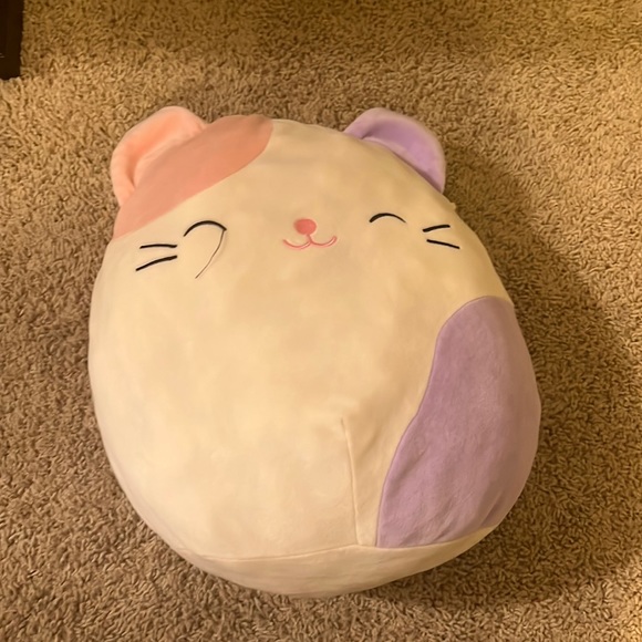 Medium sized cat squishmallow. Will cut off string on eye if bought. No flaws - Picture 1 of 3